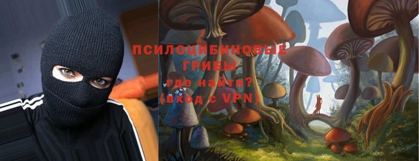 дживик Нефтегорск