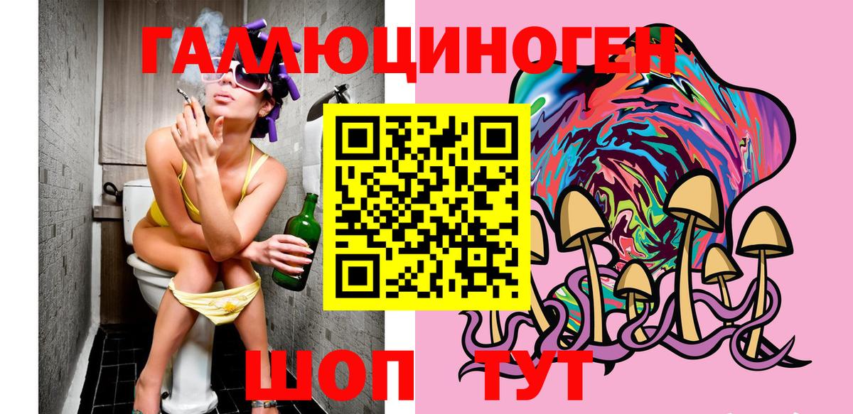 Егорьевск  Галлюциногенные грибы прущие грибы  Галлюциногенные грибы Cubensis  Вход с VPN 