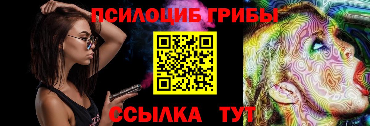Псилоцибиновые грибы мицелий Егорьевск