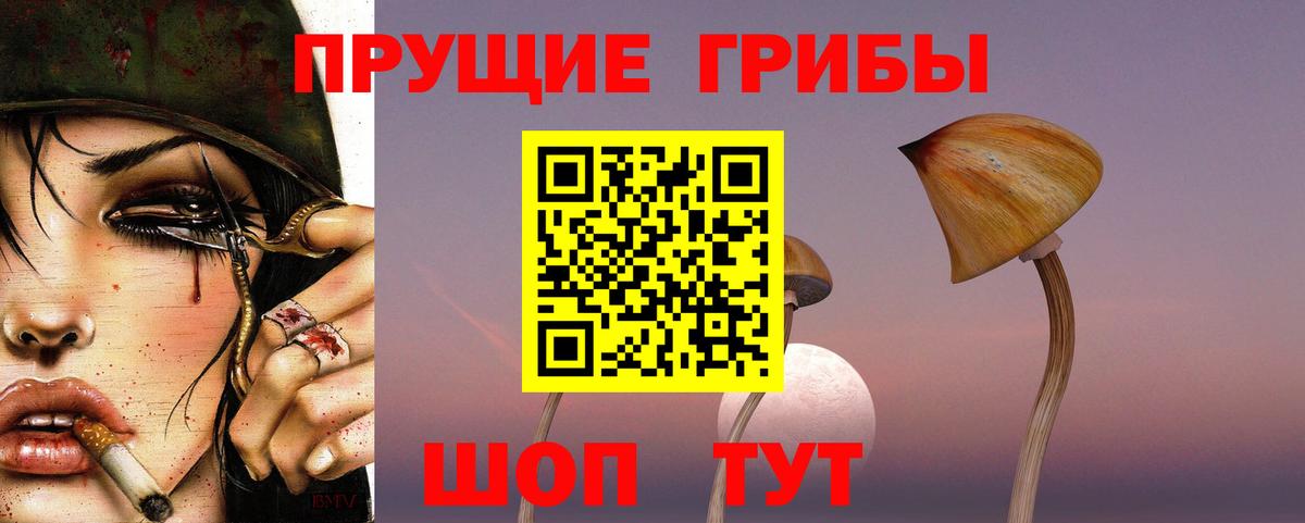 Псилоцибиновые грибы мухоморы Егорьевск