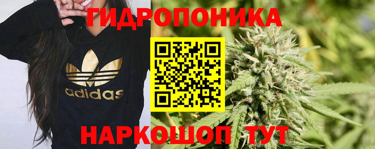 Каннабис индика Егорьевск